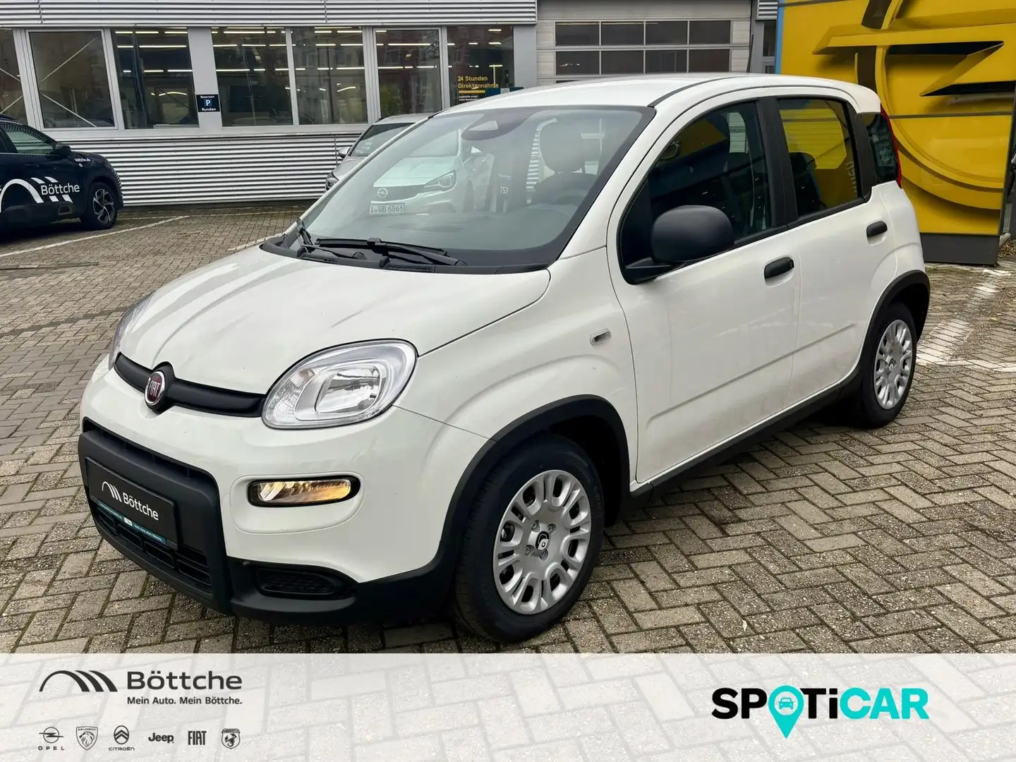 Fiat Panda Pandina MJ24 - KLIMA/DAB+/BLUETOOTH/PDC Weiß - 1