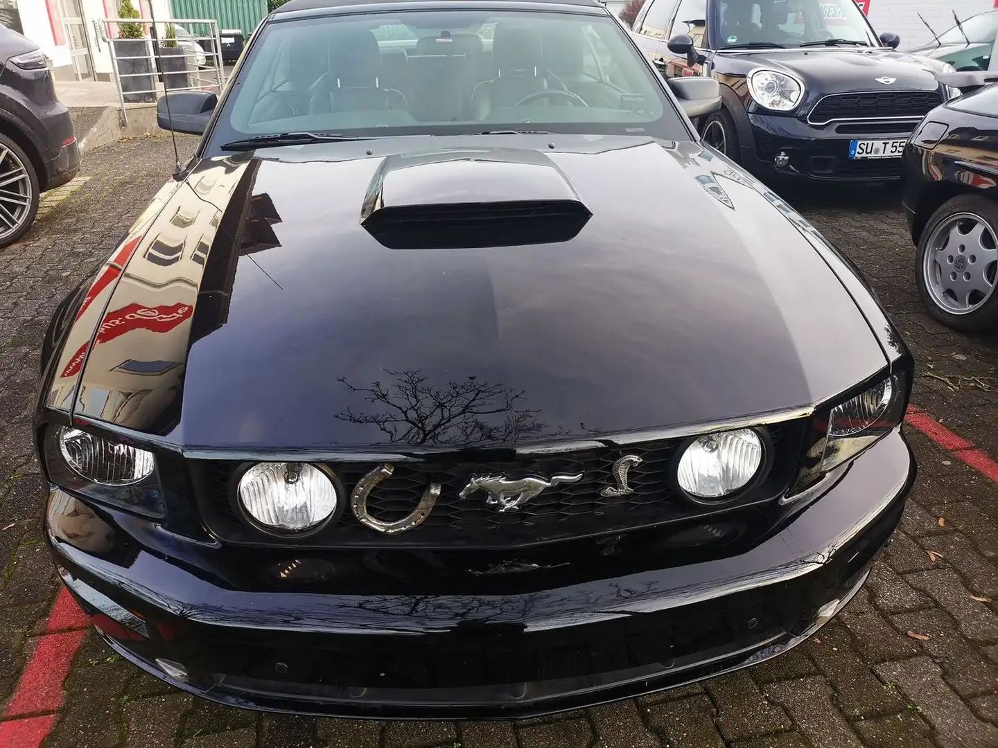 Ford Mustang 4.6 GT V8 Clean Title  "einzigartig schön Schwarz - 2