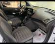 Ford Tourneo Connect 1.5 TDCi 120 CV Plus Blanc - thumbnail 15