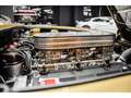 Ferrari 330 GT 2+2 - \FERRARI CLASSICHE\ Gold - thumbnail 11