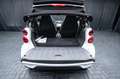 smart forTwo cdi EU5 Cabrio Passio Servo Silber - thumbnail 13
