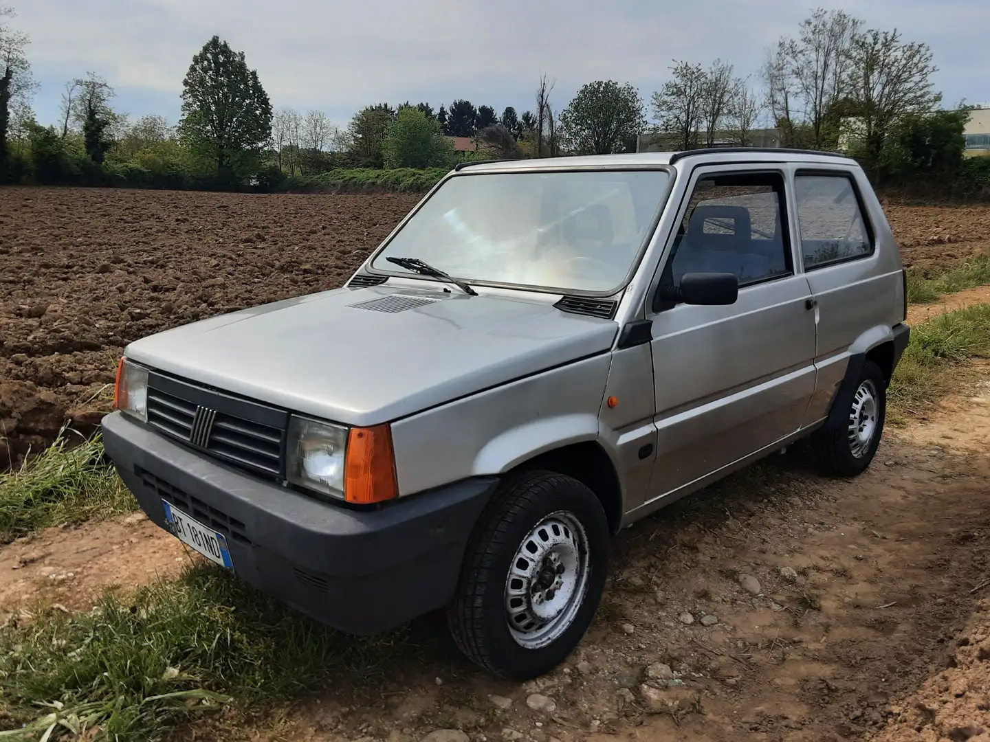 Fiat Panda 1100 i.e. Young Srebrny - 1