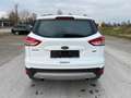 Ford Kuga Sync Edition*Navi*PDC*SHZ*Parkassistent* Alb - thumbnail 6