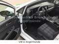 Volkswagen Golf VIII  GTE eHybrid Weiß - thumbnail 12