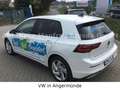 Volkswagen Golf VIII  GTE eHybrid Weiß - thumbnail 5