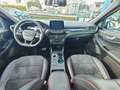 Ford Kuga Plug-In Hybrid ST-Line X Blau - thumbnail 17