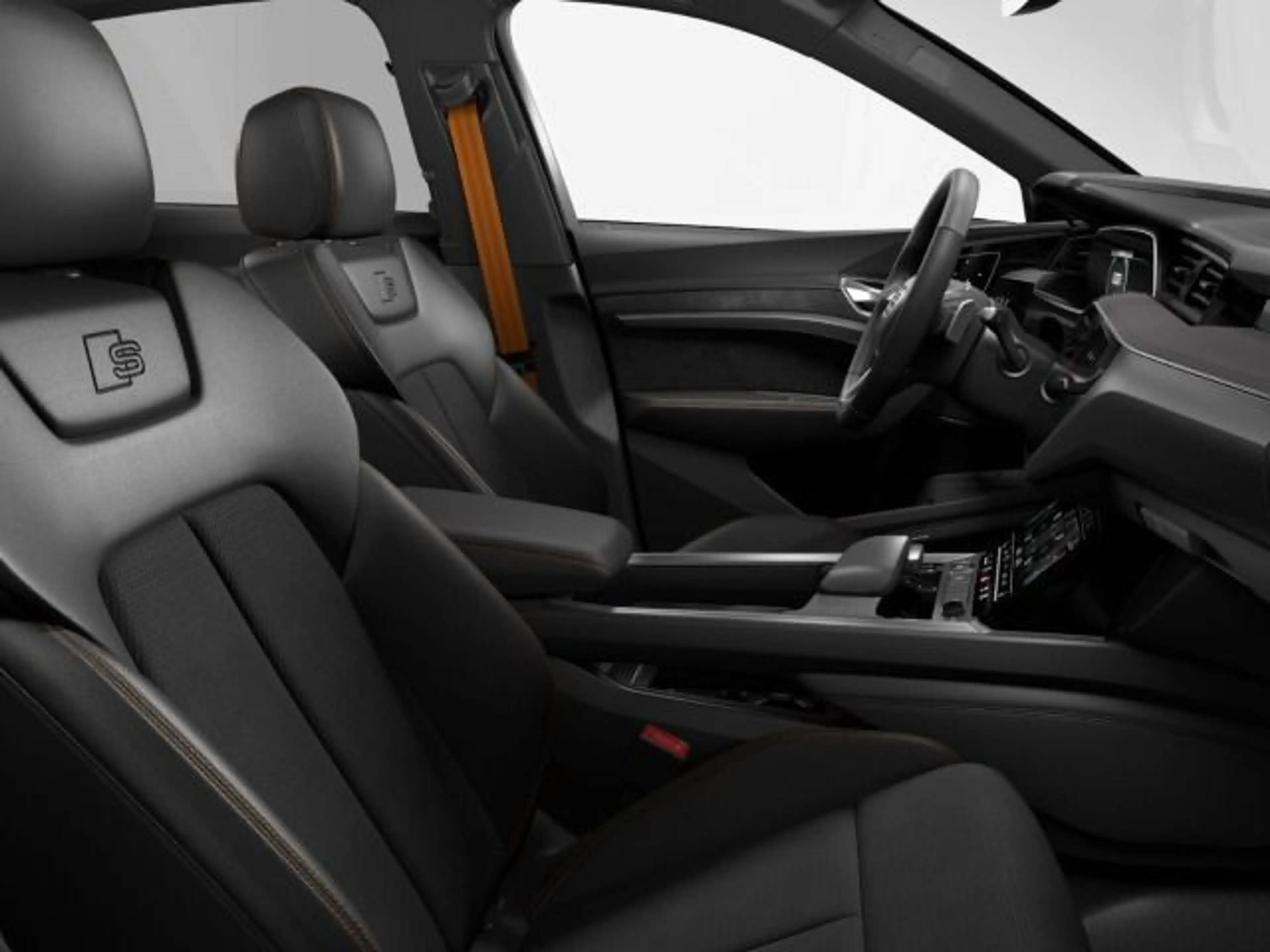 Audi e-tron S line e-tron Spb 300 PANO*AHK — photo 10