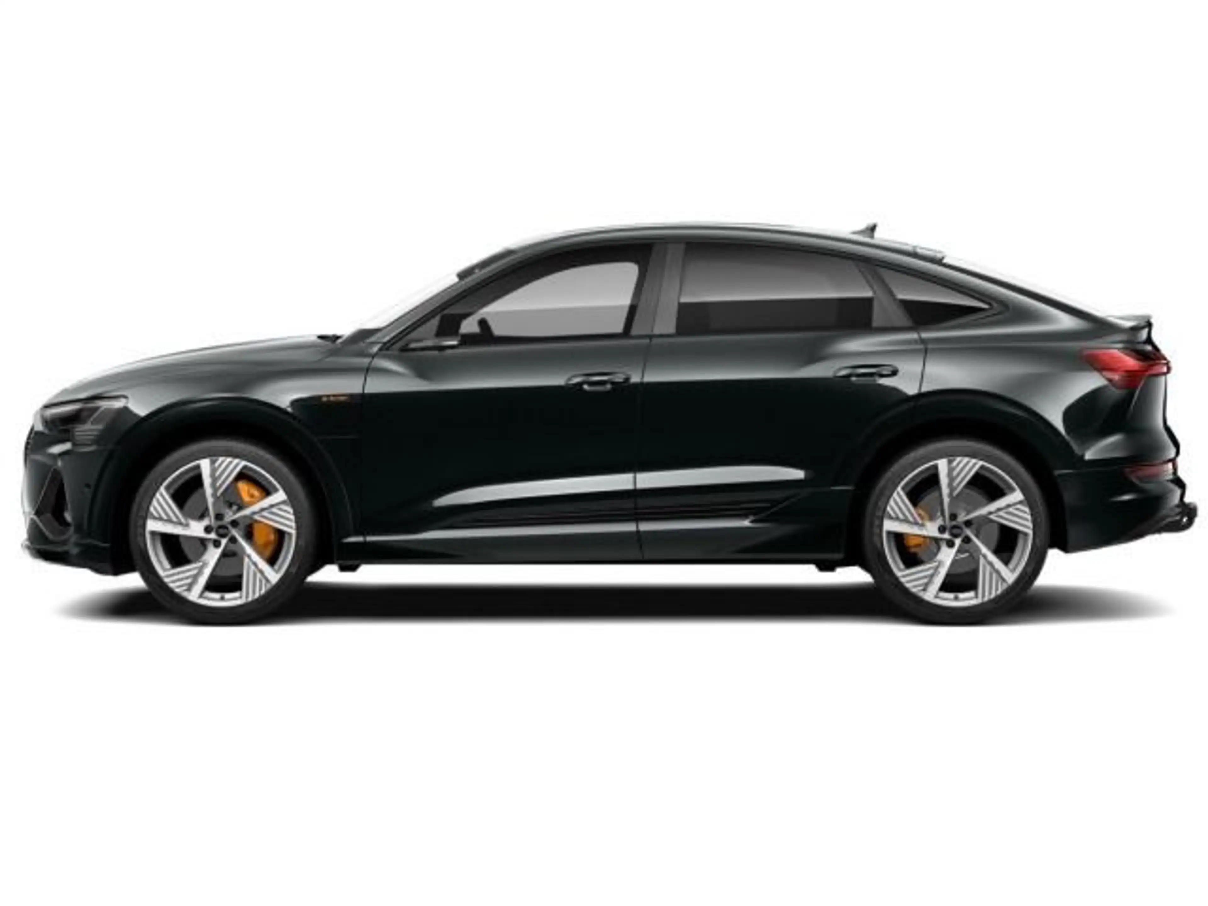 Audi e-tron S line e-tron Spb 300 PANO*AHK — photo 4