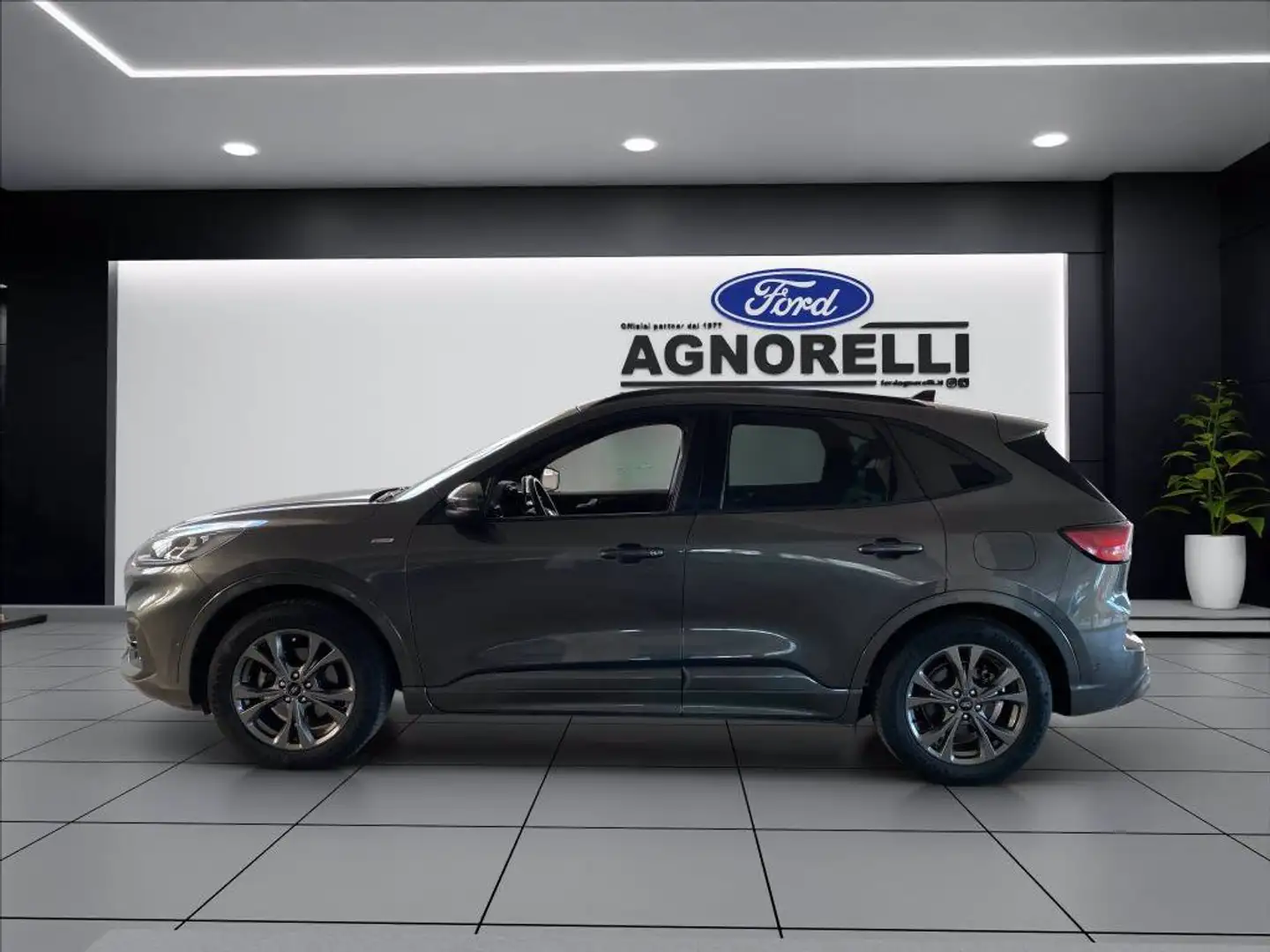 Ford Kuga 1.5 ecoboost ST-Line X 2wd 150cv Gris - 2