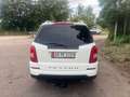 SsangYong Rexton Rexton W RX200 e-XDi Quartz 4WD Weiß - thumbnail 7
