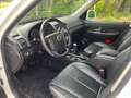 SsangYong Rexton Rexton W RX200 e-XDi Quartz 4WD Weiß - thumbnail 11