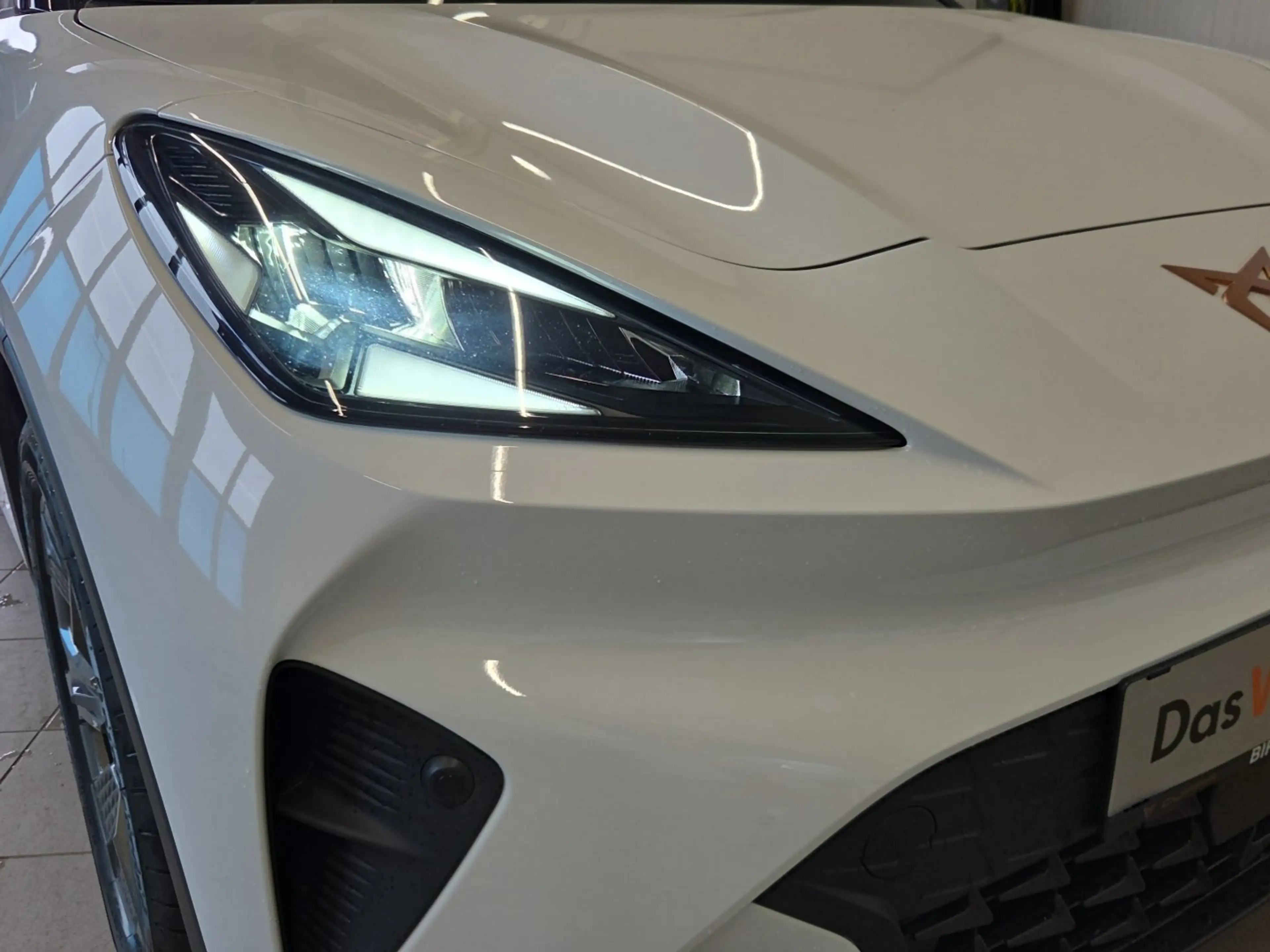 CUPRA Raval ENDURANCE 52/55 155kW/211 PS — photo 7