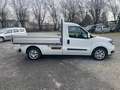 Fiat Doblo 1.3 mjt 3 POSTI WORK UP CASSONE CASSONATO Bianco - thumbnail 8