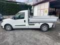 Fiat Doblo 1.3 mjt 3 POSTI WORK UP CASSONE CASSONATO Bianco - thumbnail 7