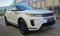 Land Rover Range Rover Evoque 2,0 D150 Aut. Allrad Head Up Weiß - thumbnail 2