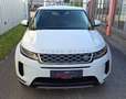 Land Rover Range Rover Evoque 2,0 D150 Aut. Allrad Head Up Weiß - thumbnail 7