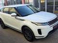 Land Rover Range Rover Evoque 2,0 D150 Aut. Allrad Head Up Weiß - thumbnail 10