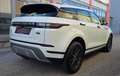 Land Rover Range Rover Evoque 2,0 D150 Aut. Allrad Head Up Weiß - thumbnail 3
