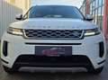 Land Rover Range Rover Evoque 2,0 D150 Aut. Allrad Head Up Weiß - thumbnail 5