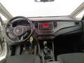 Kia Carens IV 2013 1.7 crdi Class 115cv 5p.ti Білий - thumbnail 9