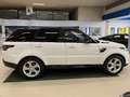 Land Rover Range Rover Sport 3.0 SDV6 249 CV HSE 7 POSTI Bianco - thumbnail 14