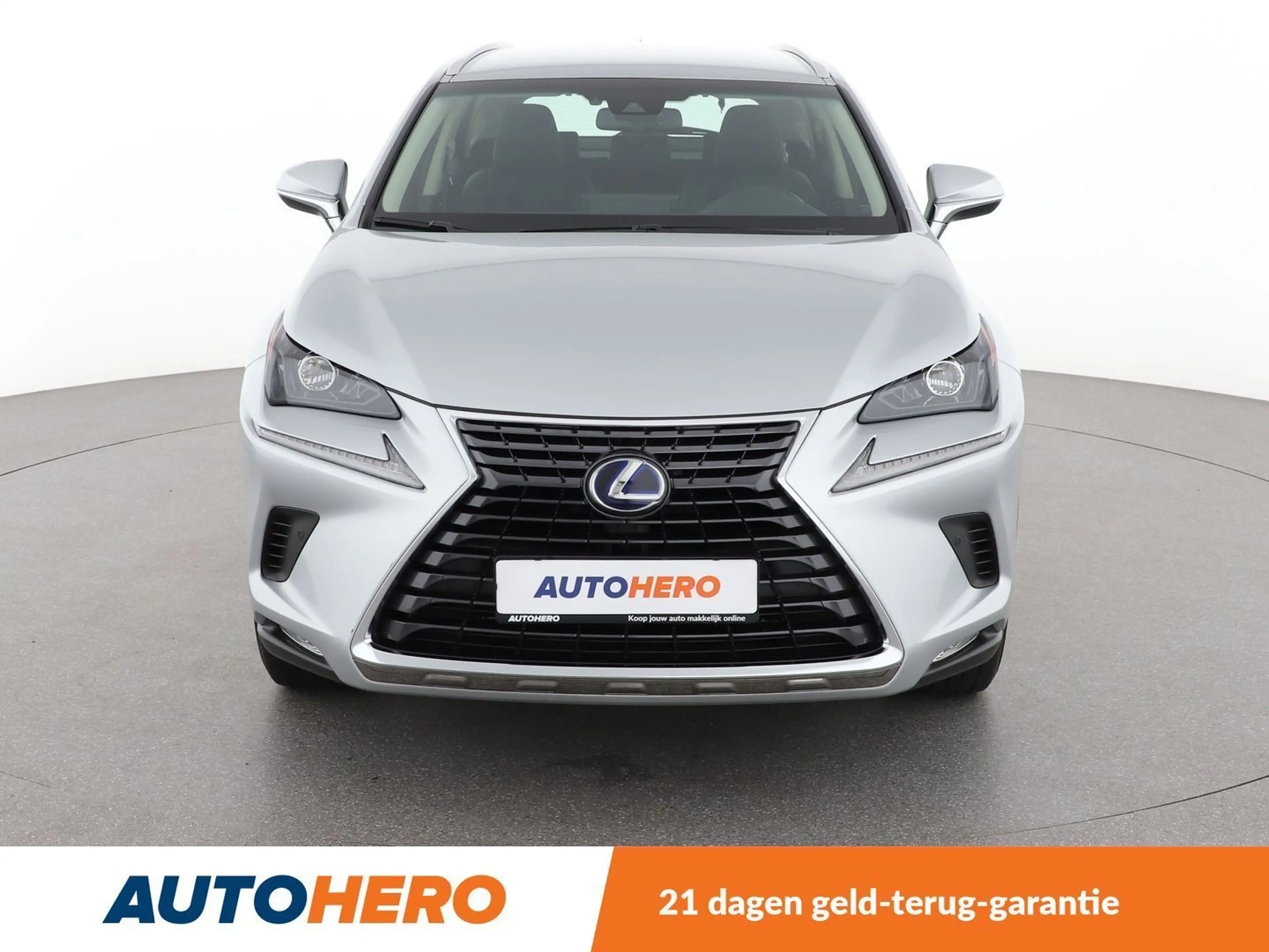 Lexus NX 300h NX 300h E-Four Executive Line — photo 9
