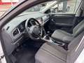 Volkswagen T-Roc t 1.0 TSI 115ch lounge business Weiß - thumbnail 14