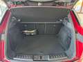 Land Rover Range Rover Evoque 2.0d i4 mhev R-Dynamic S awd 180cv auto Rosso - thumbnail 9