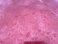 Dacia Sandero 1.5 dCi 90 FAP Stepway Rouge - thumbnail 31