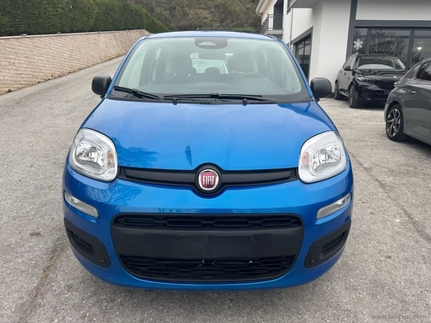 Fiat Panda 1.0 FireFly S&S Hybrid Blu/Azzurro - 2