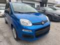 Fiat Panda 1.0 FireFly S&S Hybrid Blu/Azzurro - thumbnail 3