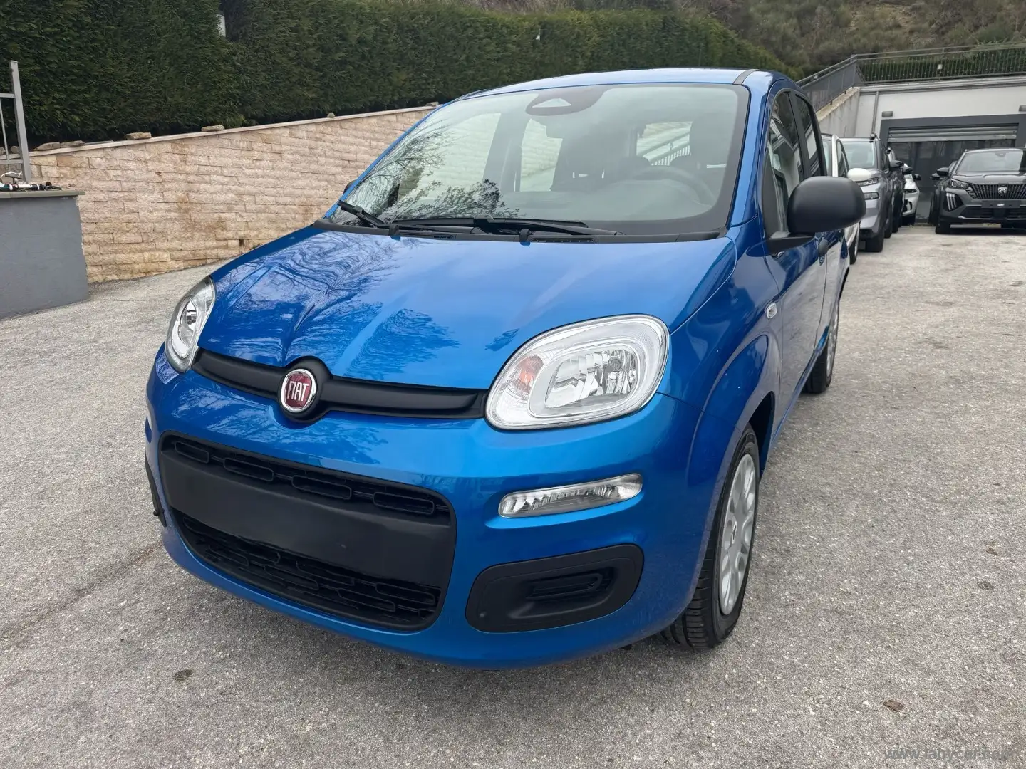 Fiat Panda 1.0 FireFly S&S Hybrid Blu/Azzurro - 1