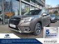 Subaru Forester 2.0ie Platinum MILD-HYBRID 2024 Bronze - thumbnail 1