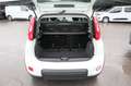 Fiat Panda Panda 1.0 Mild Hybrid Klima/eFH./NSW Blanc - thumbnail 21
