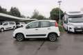 Fiat Panda Panda 1.0 Mild Hybrid Klima/eFH./NSW Blanc - thumbnail 4