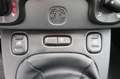 Fiat Panda Panda 1.0 Mild Hybrid Klima/eFH./NSW Blanc - thumbnail 9