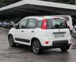Fiat Panda Panda 1.0 Mild Hybrid Klima/eFH./NSW Blanc - thumbnail 5