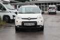 Fiat Panda Panda 1.0 Mild Hybrid Klima/eFH./NSW Blanc - thumbnail 2