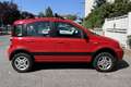 Fiat Panda 1.3 mjt 16v 4x4 Climbing - thumbnail 5