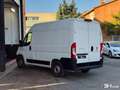 Fiat Ducato III (2) FOURGON TOLE MH2 2.3L 120 CH PACK BUISNESS L2H2 / TVA RECUPERABLE Blanc - thumbnail 7