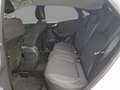 Ford Puma 1.0 EcoBoost 125 pk Hybrid Titanium | Navigatie | Blanco - thumbnail 8