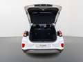 Ford Puma 1.0 EcoBoost 125 pk Hybrid Titanium | Navigatie | Blanco - thumbnail 20