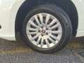 Fiat Tipo City 1.6 Multijet Weiß - thumbnail 6
