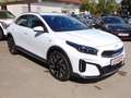 Kia XCeed Vision Weiß - thumbnail 6