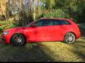 Audi A3 2.0 tdi quattro Rosso - thumbnail 6