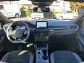 Ford Kuga 2.0 EcoBlue 190 CV ST-Line X AWD CA Blu/Azzurro - thumbnail 10