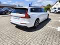 Volvo V60 B4 Benzin Aut. AHK / ACC / BLIS Weiß - thumbnail 5