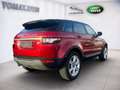 Land Rover Range Rover Evoque Pure 2,2 TD4 Rood - thumbnail 5