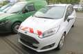 Ford Fiesta 1.0 Trend Orig. 28.700 KM Alu Klimaaut. Radio Sync Weiß - thumbnail 1