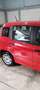 Fiat Panda 1.2 Trussardi s&s 69cv - thumbnail 14